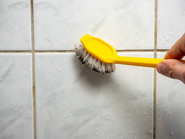 Best Mold Removal Near Me  in Solon, OH